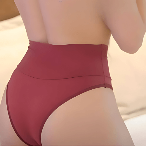 kit-calcinha-pala-alta-sustentacao-promocional-microfibra.