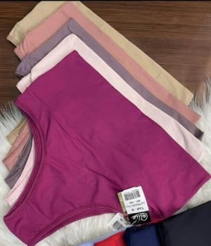 kit-calcinha-pala-alta-sustentacao-promocional-microfibra.